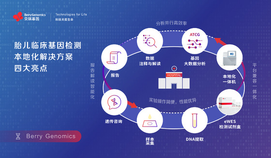 貝瑞基因發布胎兒臨床基因檢測本地化解決方案，助力出生缺陷預防